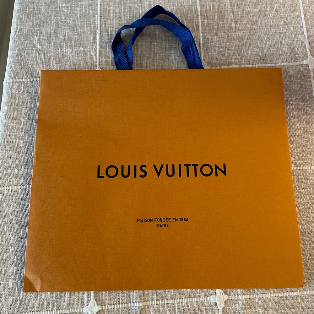 Louis Vuitton store bag